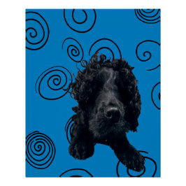 Crazy Dog Poster