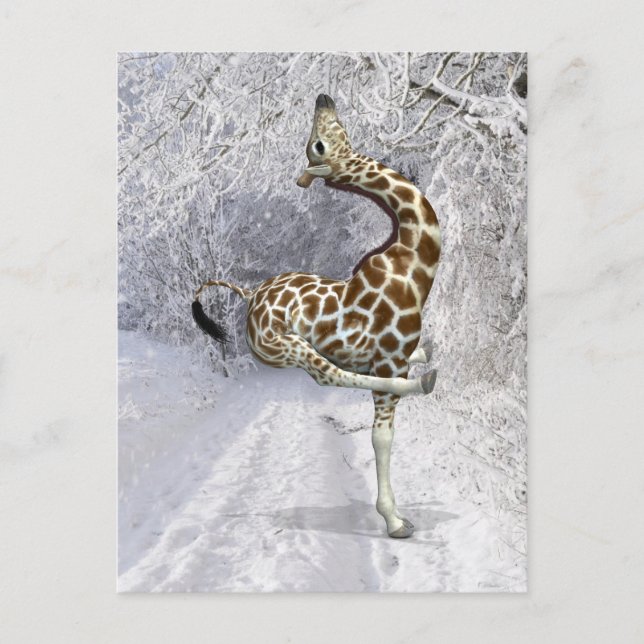Crazy Giraffe Snow Postkarte (Vorderseite)