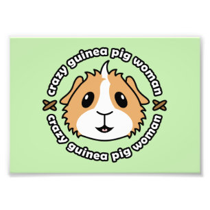Crazy Guinea Schweineweibchen Print (Rahmen verfüg Fotodruck