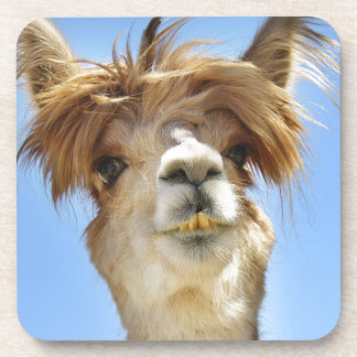 Crazy Hair Alpaca Getränkeuntersetzer