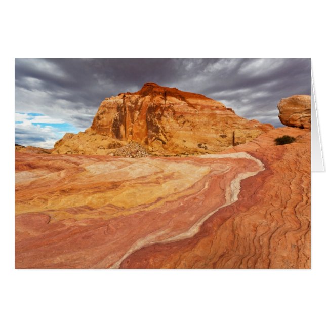 Crazy Hill Tempest (Vorderseite (Horizontal))