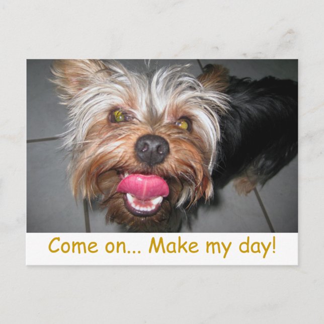 Crazy Jasper ~ Postcard Postkarte (Vorderseite)