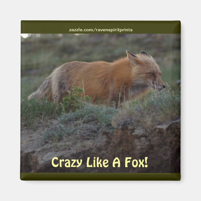 Crazy like a fox Animal Wildlife Fun Magnet (Vorne)