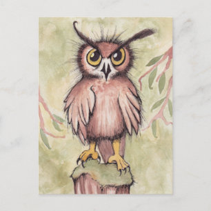 Crazy Niedlich Owl Postkarte