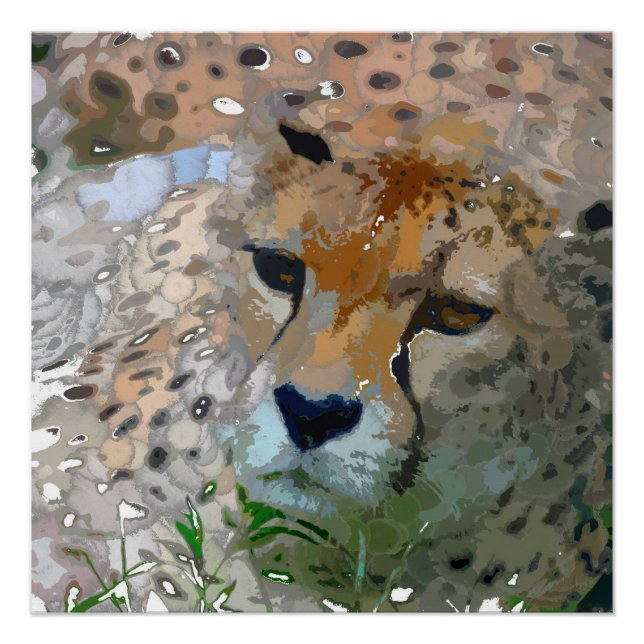 Crazy Paint - Cheetah Poster (Vorderseite)