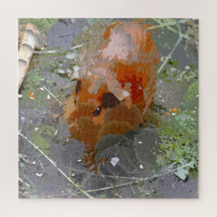 Crazy Paint - Guinea Pig