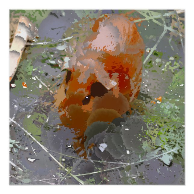 Crazy Paint - Guinea Pig Poster (Vorderseite)