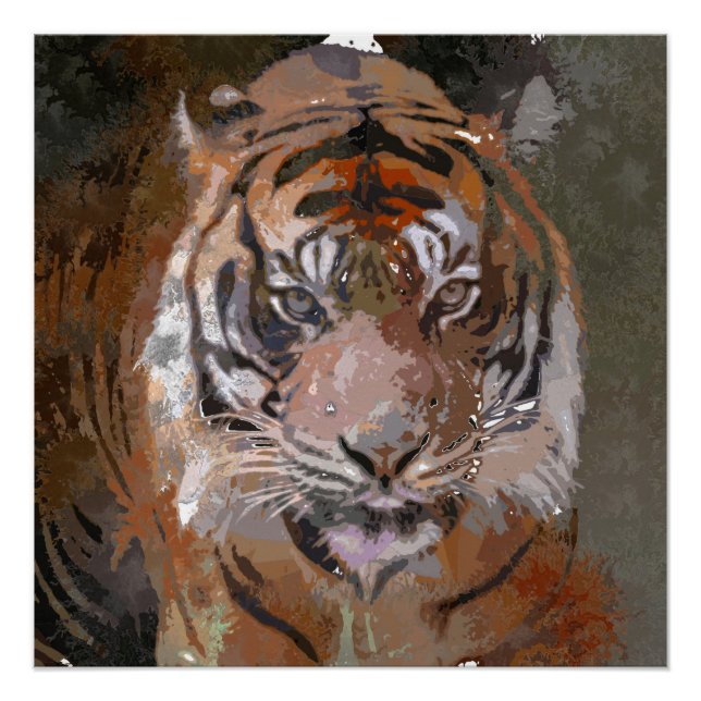 Crazy Paint - Tiger Poster (Vorderseite)