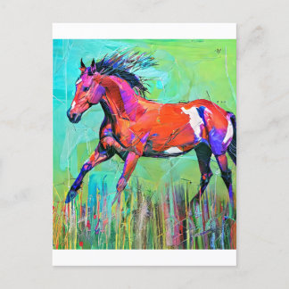 Crazy Pferd Postkarte