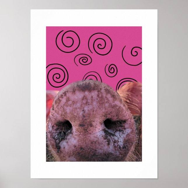 Crazy Pig Poster (Vorne)