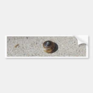 Crazy Snail Autoaufkleber