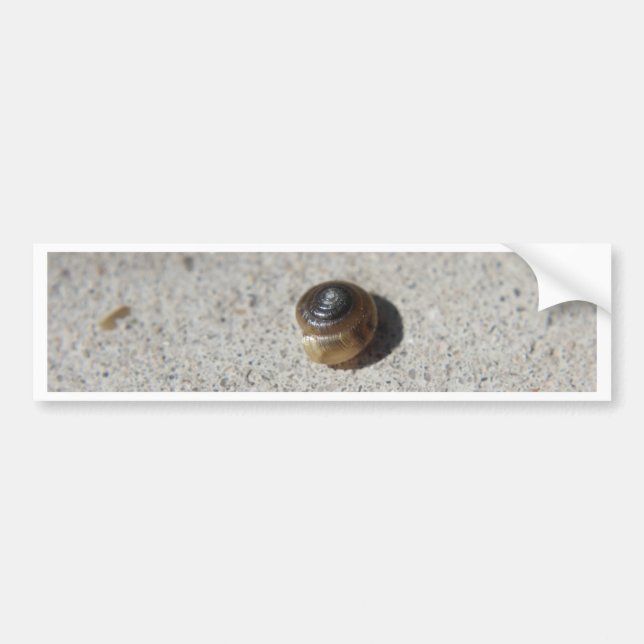 Crazy Snail Autoaufkleber (Vorne)