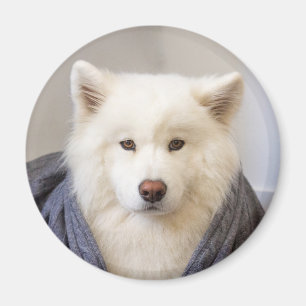 CRB Magnet - Gemütlicher Bär