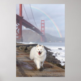 CRB Rainbow Bridge Poster