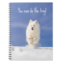 CRB Snow Bear Notizbuch