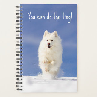 CRB Snow Bear Planer