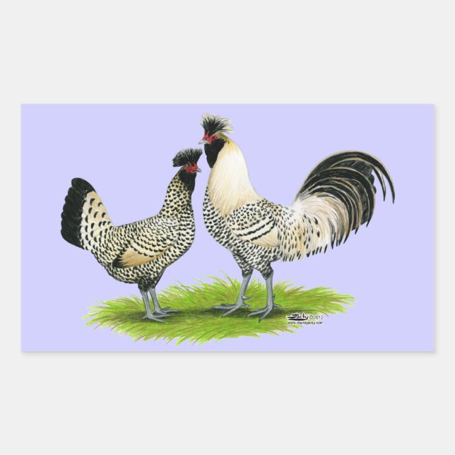 Cream Brabanter Chickens Rechteckiger Aufkleber (Vorderseite)
