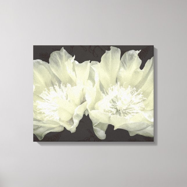 Cream Cactus Blume Leinwanddruck (Vorderseite)