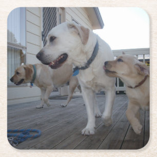 Cream Color Labrador Family Liebe, Rechteckiger Pappuntersetzer