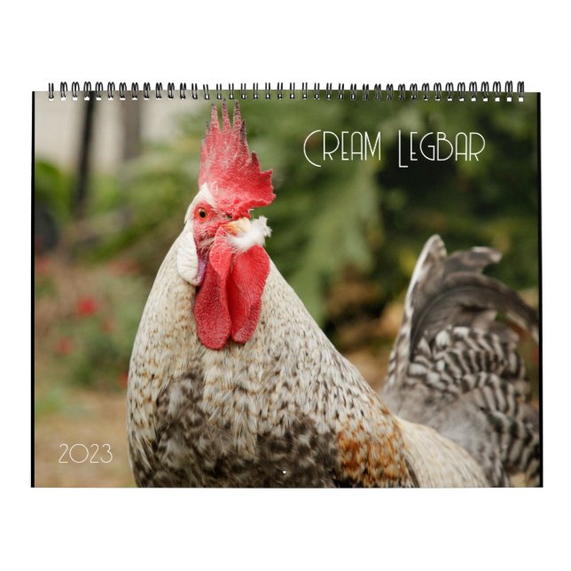 Cream Legbar 2023 Kalender (Titelbild)