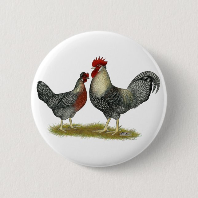 Cream Legbar Chickens Button (Vorderseite)