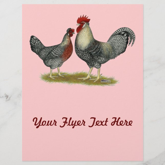 Cream Legbar Chickens Flyer (Vorne)