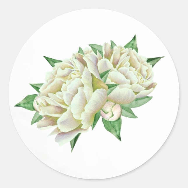 Cream Peony Stickers (Vorderseite)