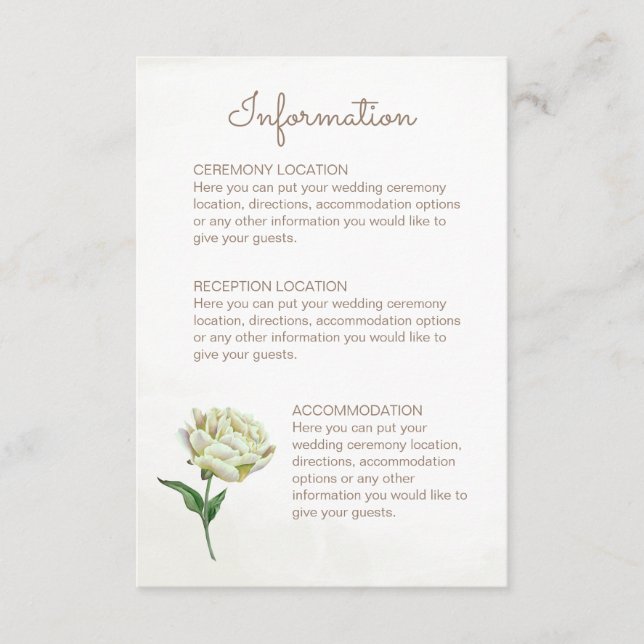 Cream Peony Wedding Information Cards Begleitkarte (Vorderseite)