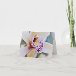Cream Pink Orchid aus dem Garten Gertie Karte