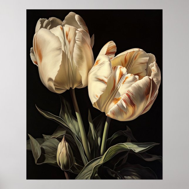 Cream Tulip Blume Art Print Poster (Vorne)