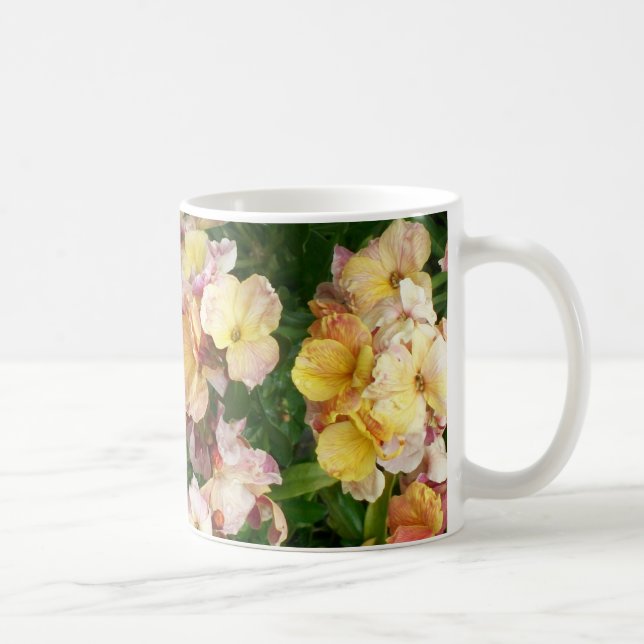 Creamy Pink Wallflowers Fotografie Kaffeetasse (Rechts)