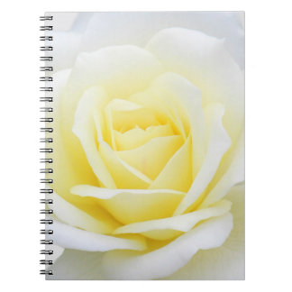 Creamy-Rose Notizblock
