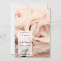 Creamy Soft Pink Peach Rose Elegante Hochzeit