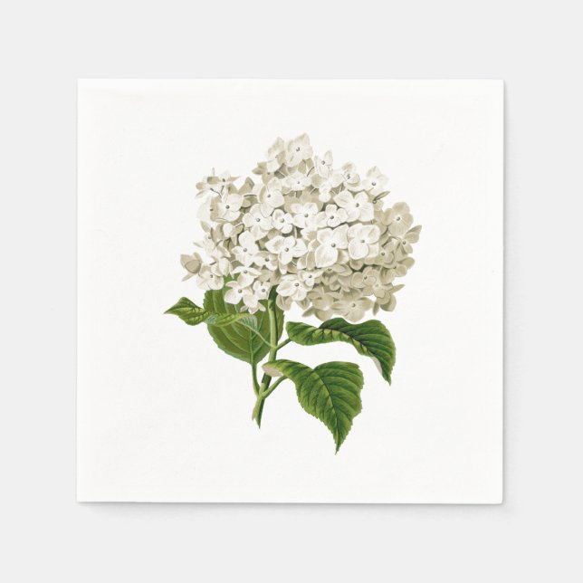 Creamy White Antique Hydrangea Blume Serviette (Vorderseite)