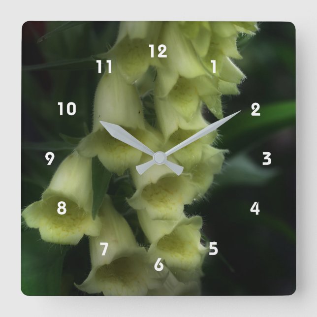 Creamy White Foxglove Flowers Quadratische Wanduhr (Vorderseite)