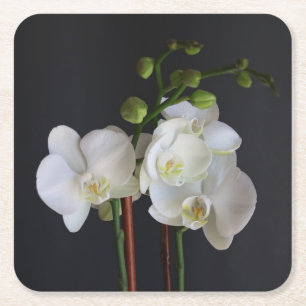 Creamy White Orchid Rechteckiger Pappuntersetzer