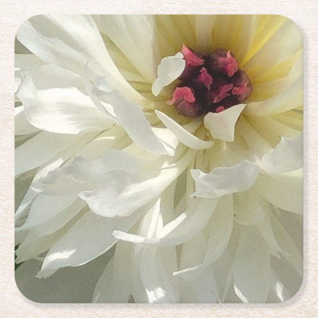 Creamy White Peony Blume mit Pink Stamens Rechteckiger Pappuntersetzer (Vorderseite)