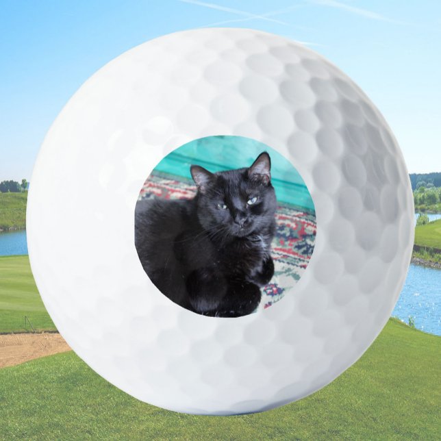Create Your Own Custom Cat Owner Gift Pet Golfball (Von Creator hochgeladen)