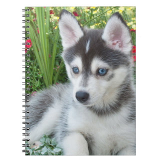 Create Your Own Pet Photo Custom Picture Notizblock