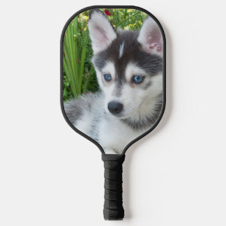 Create Your Own Pet Photo Custom Picture Pickleball Schläger