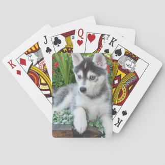 Create Your Own Pet Photo Custom Picture Spielkarten