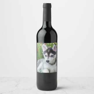 Create Your Own Pet Photo Custom Picture Weinetikett