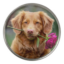 Create your Own Photo