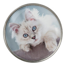 Create your Own Photo