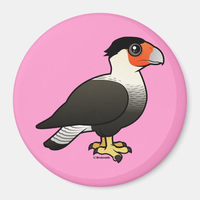 Created Caracara Magnet (Vorne)