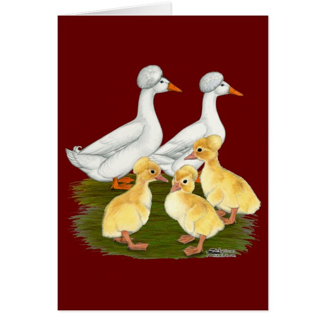 Created Duck Family (Vorne)