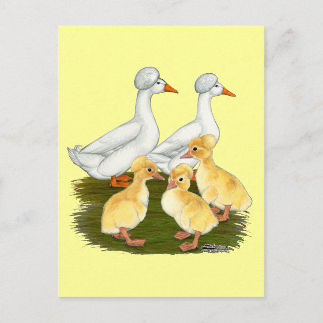 Created Duck Family Postkarte (Vorderseite)