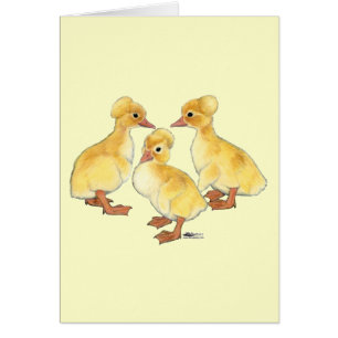 Created White Ducklings