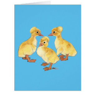 Created White Ducklings