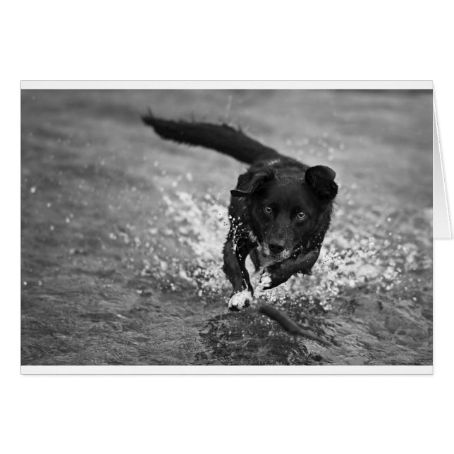 création d'un splash (Devant horizontal)